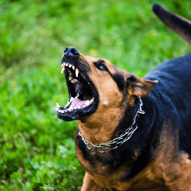 Rééducation comportementale